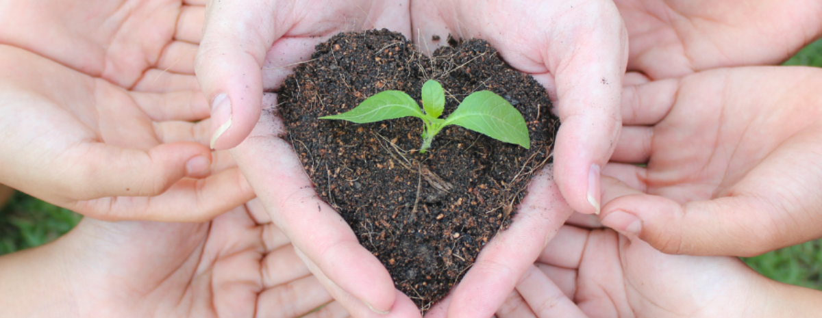 MEF Family Funded Grants 2024